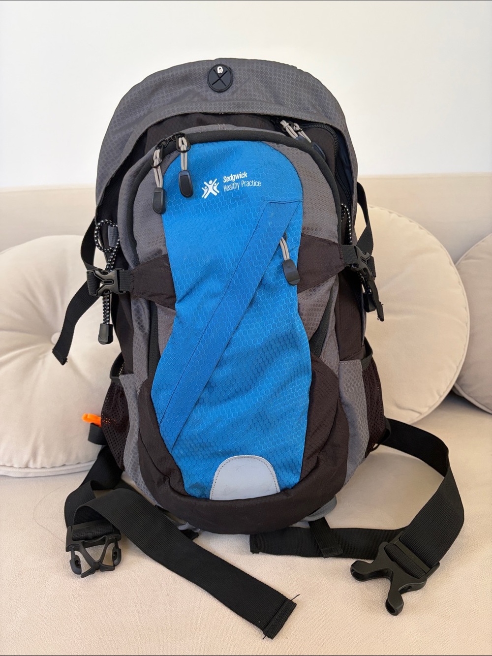 Blue and Gray Men's Backpack - Everyday Carry